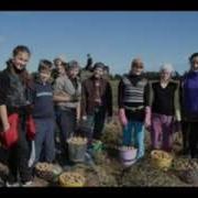 Пионерская Песня Картошка