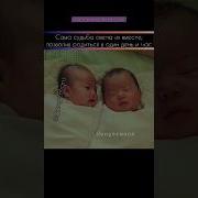 Секс Видео Смотреть Дораму Сказка О Кумихо Софтбокс