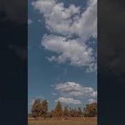 Музыка 3019