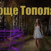 В Роще Тополя Курнуц Скачать