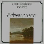Symphonic Festival Orchestra Schwanensee Ballettsuite Op 20A Ungarischer Tanz