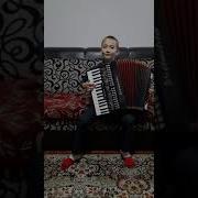Голубой Вагон На Аккордеоне