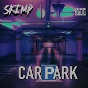 Car Park Skimp