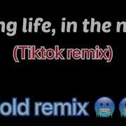 Living Life In The Night Tiktok Remix