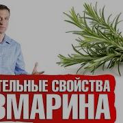 Размарин Польза