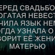 Перед Свадьбой Богатая Невеста Выучила Язык Немых А Когда