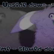 Upside Down Meme Slowed Down