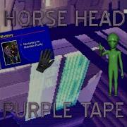 Knowledge Interlude Horse Head