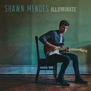 Bad Reputation Shawn Mendes