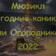 Новогодние Каникулы Вани Огородникова