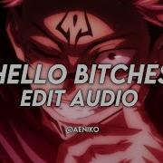 Hello Bitches Edit Audio