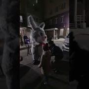Поздравление От Зайки Happy Birthday