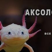 Осколот