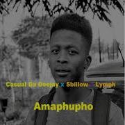 Amaphupho Casual Deejay