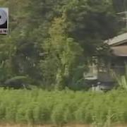 邓丽君 天黑黑