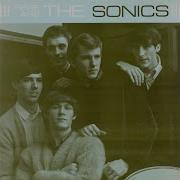 The Sonics Have Love Will Travel