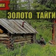 Золото Тайги Часть 2