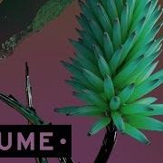 Flume Say It Clean Bandit