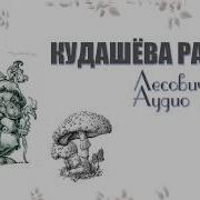 Кудашёва Раиса Лесовички
