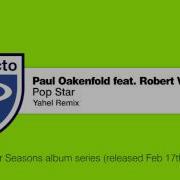 Pop Star Paul Oakenfold Robert Vadney