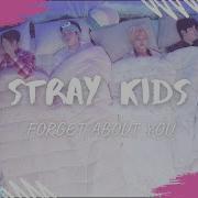 Bang Chan Felix Changbin Seungmin Stray Kids Forget About You