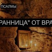 Сохранница От Врагов