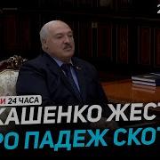 Завуалировать