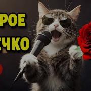 Доброе Утро И Красивая Песня