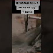 Человек С Трубой Мем