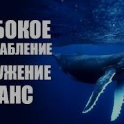 Песни Китов Медитация