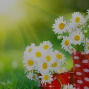 Чекалин Бодрящая Музыка Для Начала Нового Дня