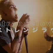 Strangelove Marina