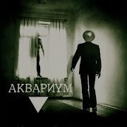 Хорал Аквариум