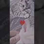 Самый Грустный Тик Ток В Мире