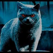 Отрывок Из Песни Pet Semetary