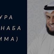 Сура Г1Амма