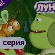 Жадины Лунтик