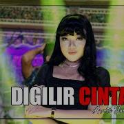 Digilir