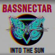 Bassnectar Chasing Heaven