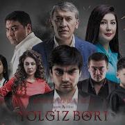 Yolgiz Bori