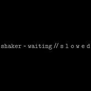 Shaker Waiting Slowed Reverb