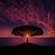 Reconditioning The Body To A New Mind Meditation