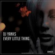 Dj Yanks Every Little Thing