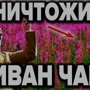 Никитин Уничтоживший Магию