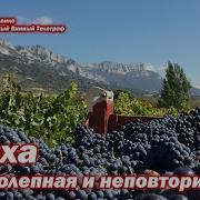 Дубов Не Повторимая
