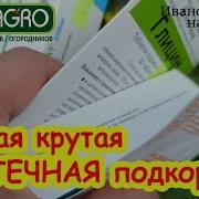 Листья Пожелтели
