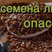 Земель Много А Шейкер Один
