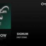 Signum First Strike 2010 Sebastian Brandt Remix