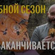 Вишневский