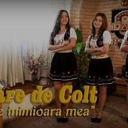 Floare De Colt Vai De Inimioara Mea